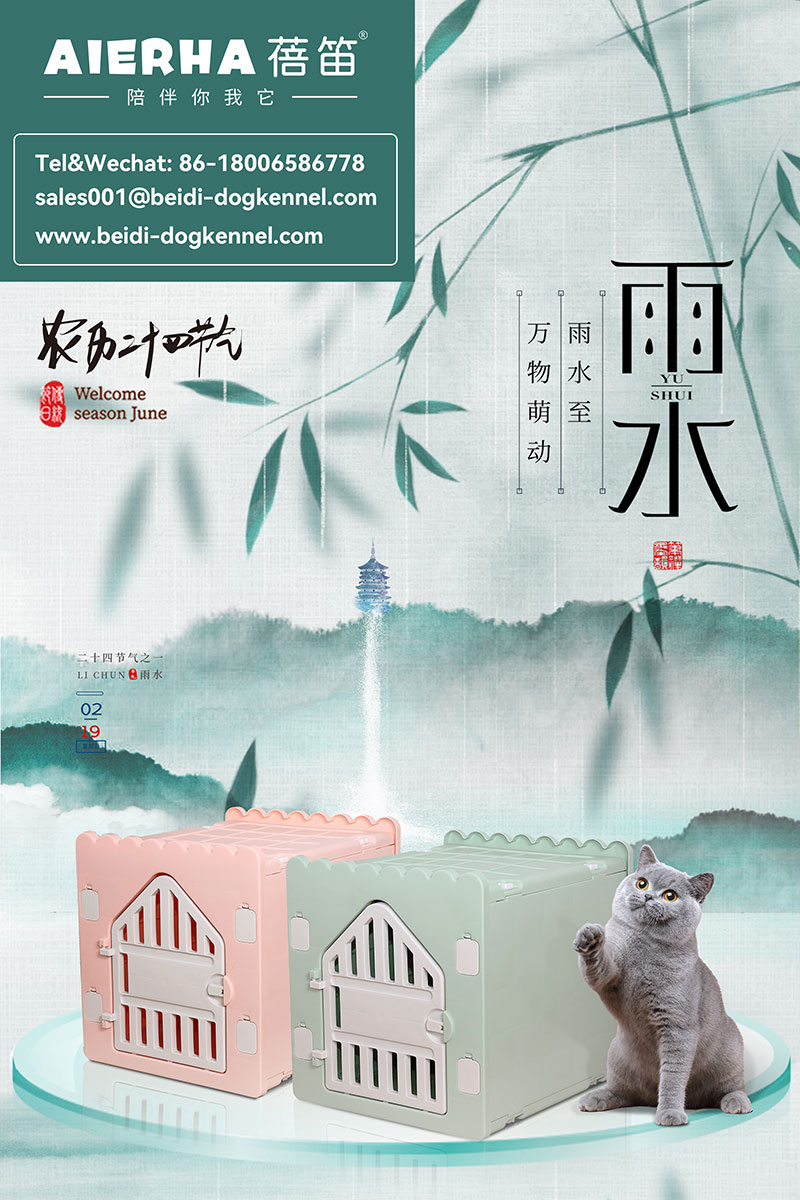 Chinese traditional 24 solar terms-Rain Water(The 2nd solar terms)