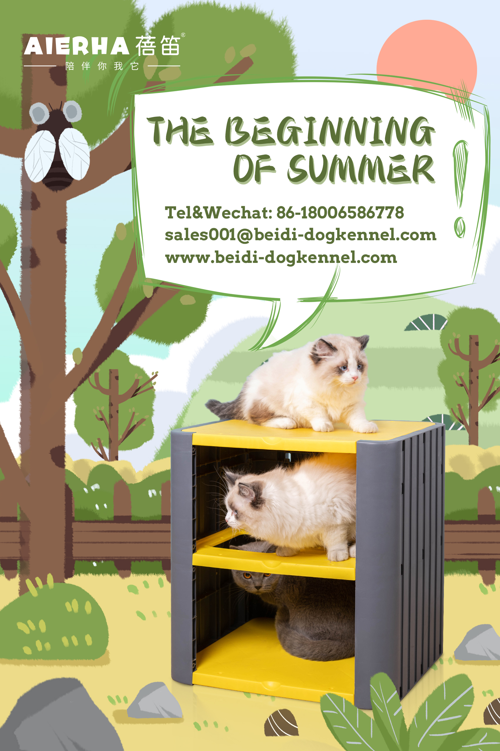 The Beginning of Summer